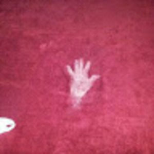 Meet your Posher, Dorian